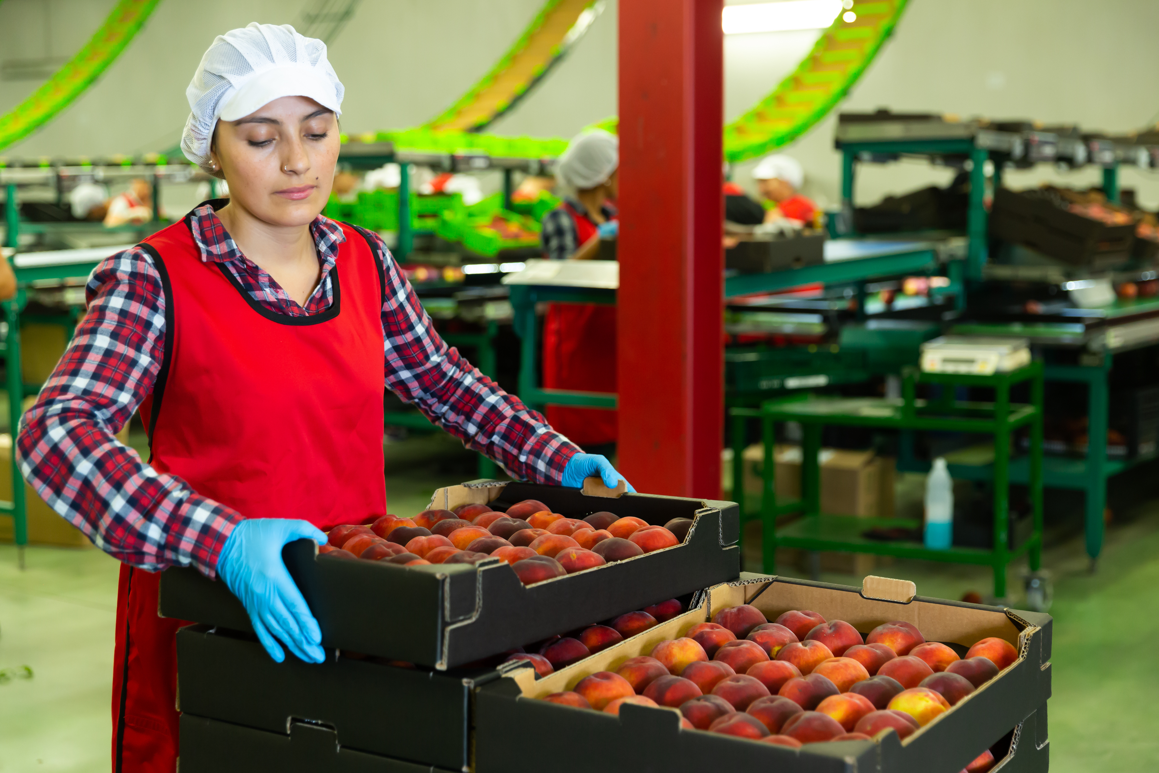 comercio alimentacion