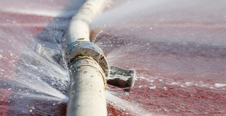 El proyecto SMARTFLOW impulsa la eficiencia hídrica en Andalucía con soluciones digitales basadas en Inteligencia Artificial