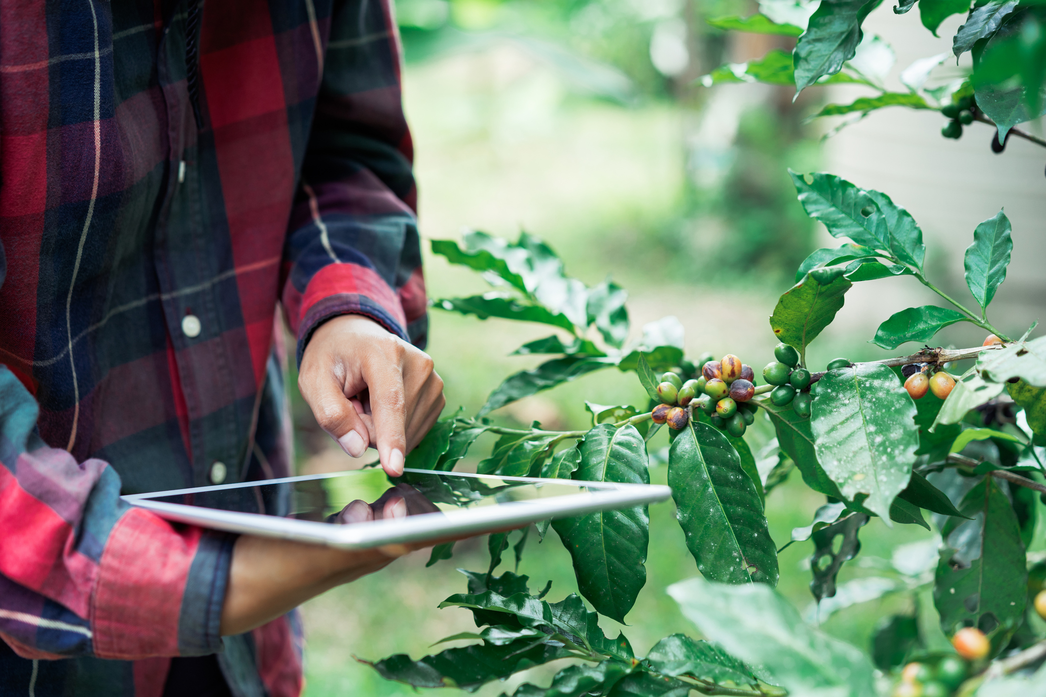 digitalizar pymes agroalimentarias