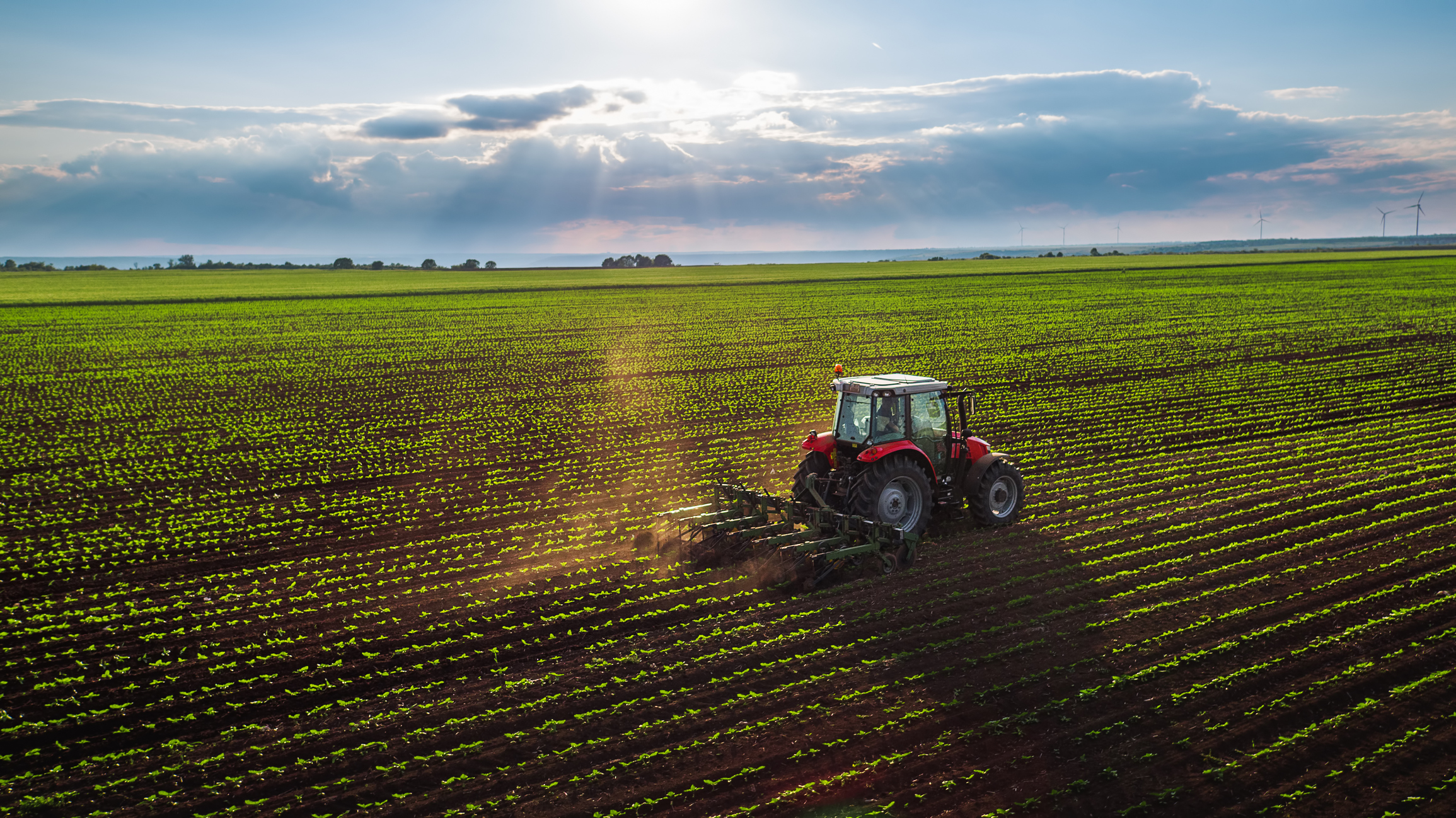 ayudas al asesoramiento de explotaciones agrarias, forestales y pymes del medio rural